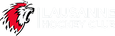 Lausanne Hockey Club - Accueil